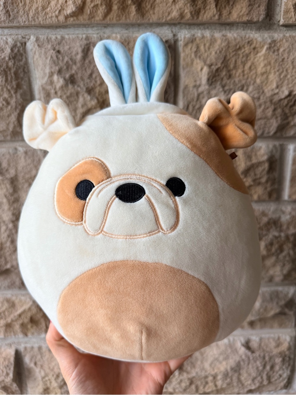 SQUISHMALLOWS Brock The Bull Dog Bunny Ears Easter 2020 Limited Edition Toy